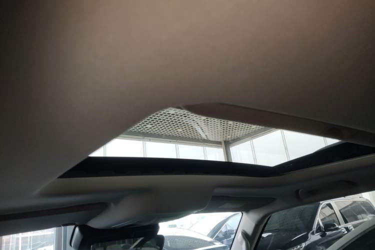 Used Tank 300 2024 2.0T Conqueror