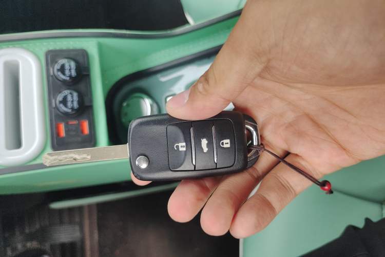 Used Changan Lumin 2023 205km Xiangqin Version
