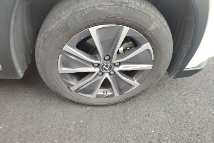 Used Lexus UX New Energy 2020 300e Pure·Joy Edition