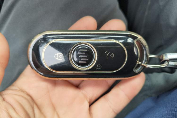 Used WM Motor EX5 2019 EX5 Mate Weymeng Edition 400