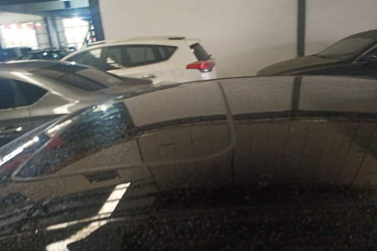 Used Honda Accord 2025 Sport Series 260TURBO Luxury Edition
