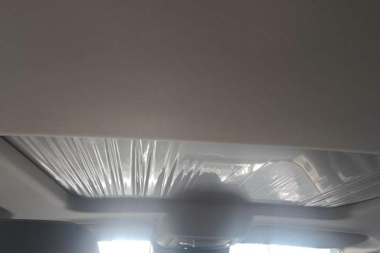 Used Tank 300 2024 2.0T Conqueror