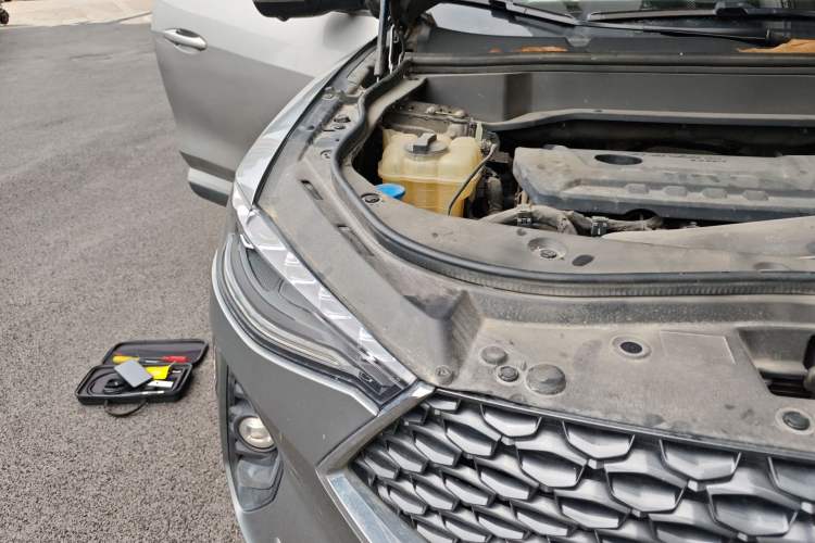 Used Haval F7 2020 2.0T Two-Wheel Drive i-Van