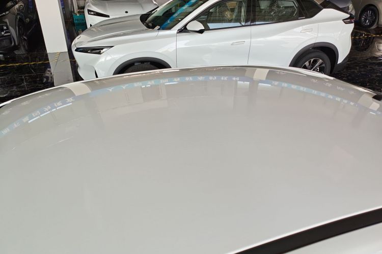 Used SINOGOLD Junxing 2023 Standard Model Roof