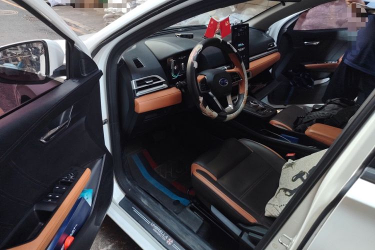 Used BYD e2 2020 Upgraded Version Long-Range Edition Luxury Model