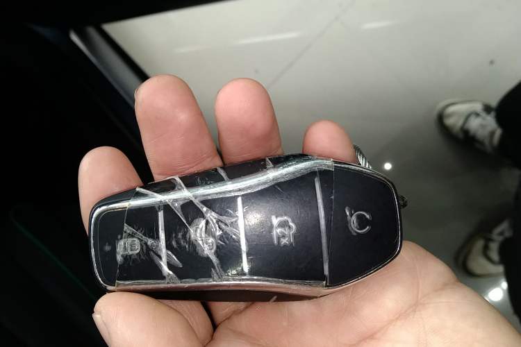 Used BYD Dolphin 2025 Intelligent Driving Version 410 km Fashion Edition