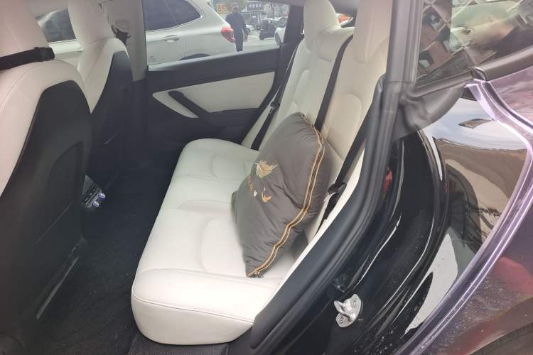 Used Tesla Model 3 2020 Standard Range Rear-Wheel Drive Upgraded Version