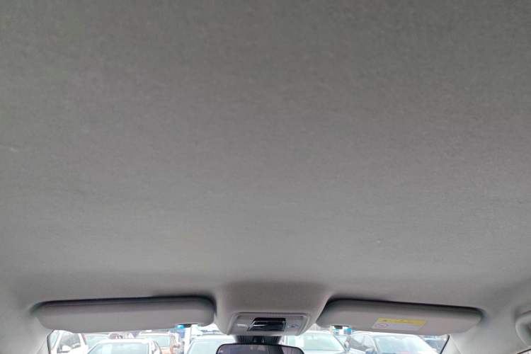 Used BYD e2 2023 Luxury Model Headliner