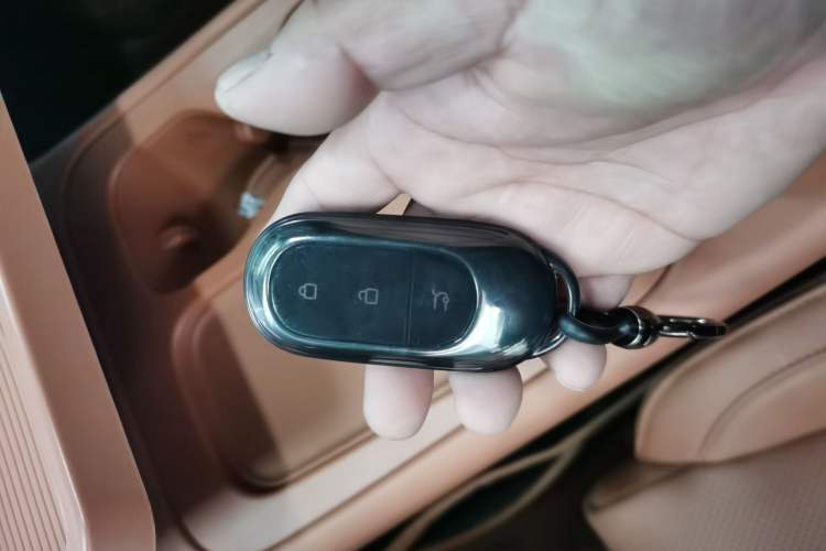 Used Leapmotor C16 2024 Range-Extended 200 Luxury Edition