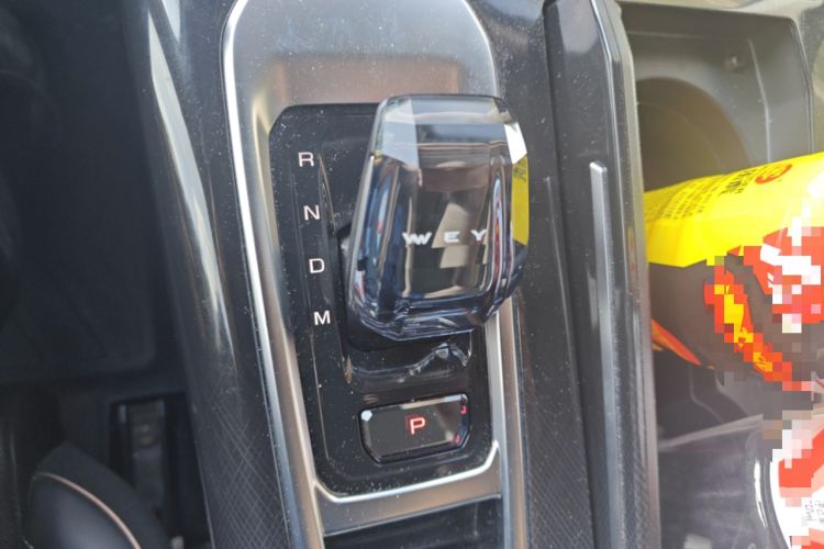 Used Wey Mocha 2021 2.0T Four-Wheel Drive Premium Edition
