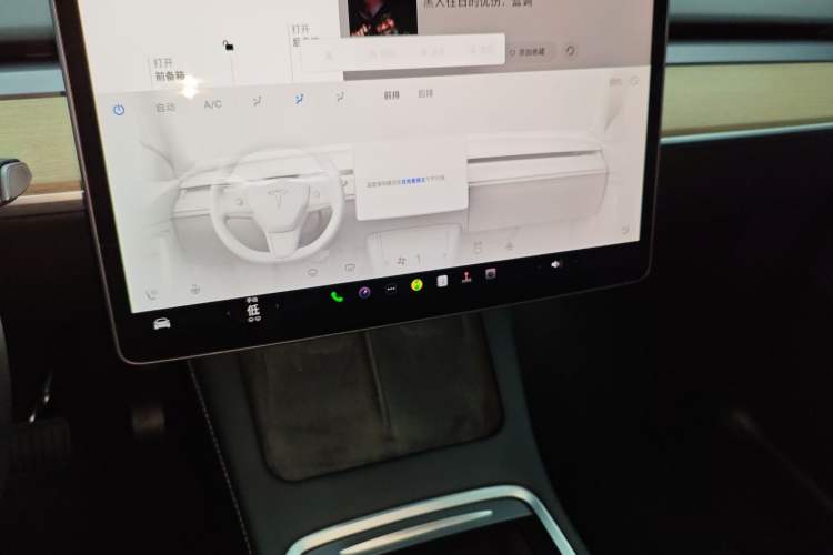 Used Tesla Model Y 2021 Standard Range Rear-Wheel Drive Version
