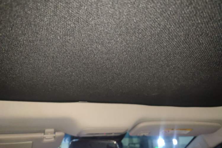 Used XPeng P7 2022 670N+ Headliner