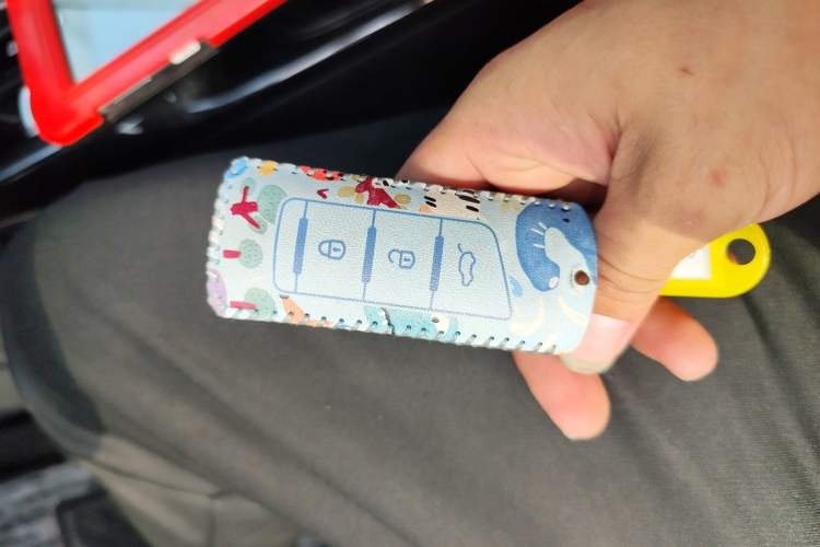 Used GAC Trumpchi GS4 2019 270T Automatic Two-Wheel Drive Elite Edition
