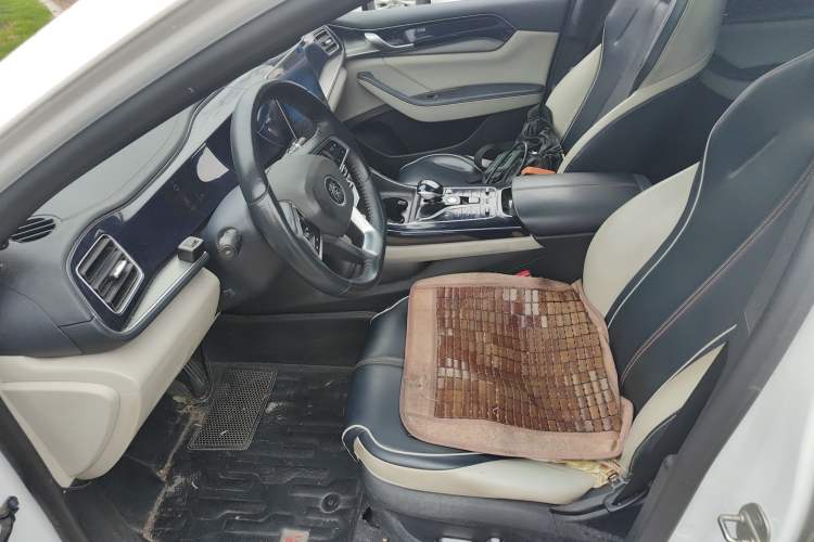 Used BYD Qin PLUS 2021 DM-i 55KM Flagship Model Left Front Seat