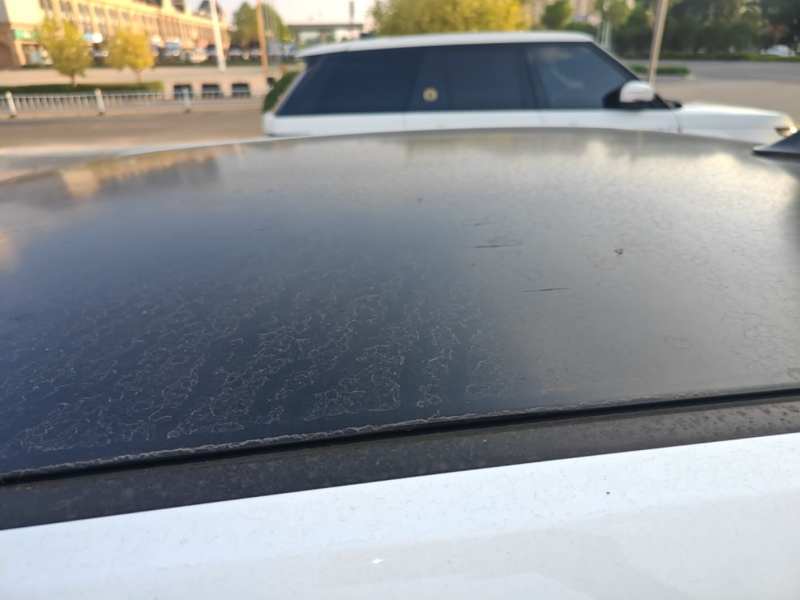 Used Wuling Hongguang MINIEV 2020 Freedom Version Lithium Iron Phosphate — 26