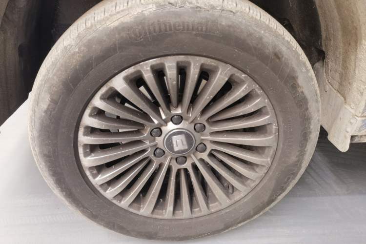 Used Tank 500 New Energy 2024 Hi4-T