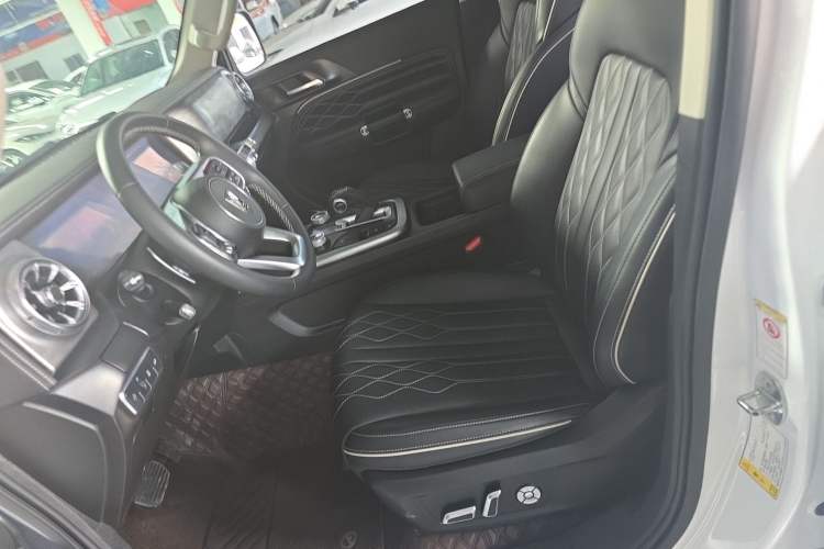 Used Tank 300 2021 City Edition 2.0T My Vision Model Left Front Seat