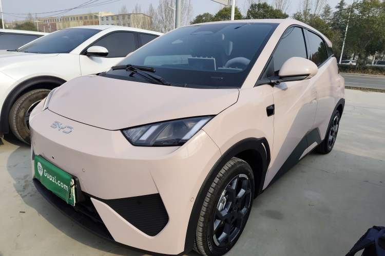 Used BYD Seagull 2025 Smart Drive Version 305 km Freedom Edition