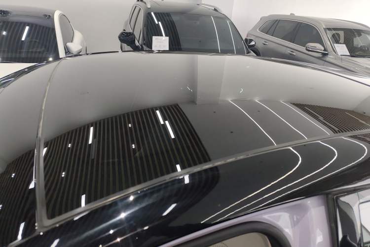 Used firefly 2025 Illuminated Edition
