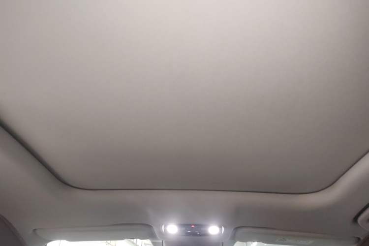 Used Leapmotor C11 2023 Pure Electric 500 Comfort Edition Headliner