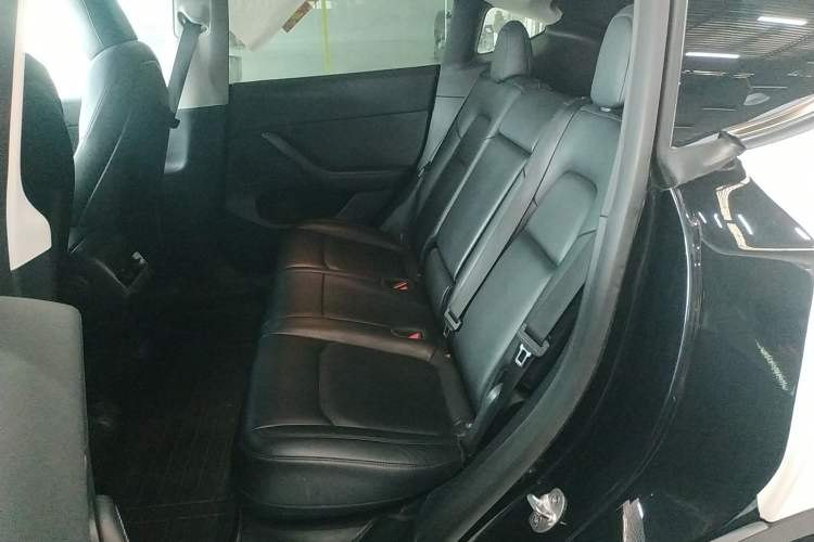 Used Tesla Model Y 2021 Standard Range Rear-Wheel Drive Version
