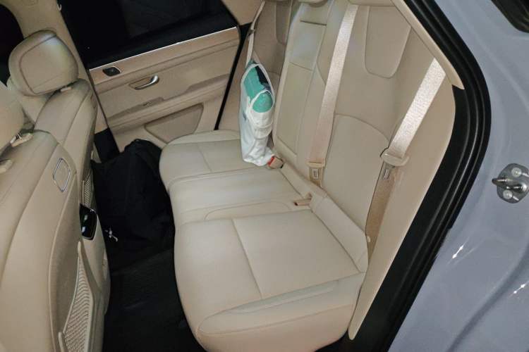 Used Hima AITO M5 2025 All-Electric Ultra Rear-Wheel-Drive Version Left Rear Seat