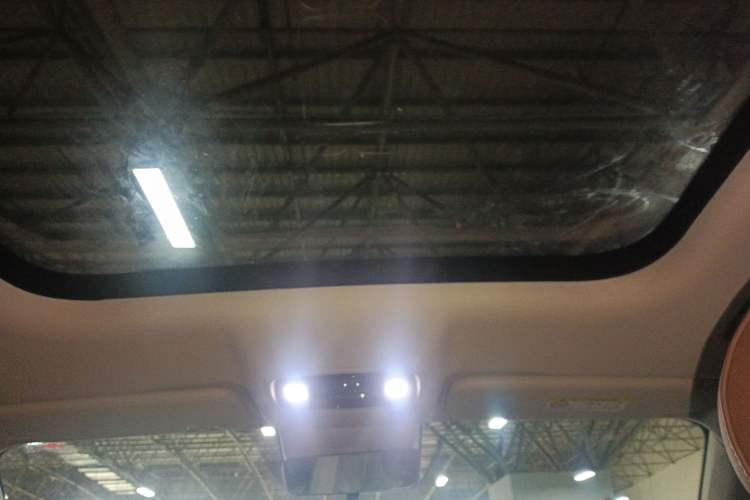 Used Leapmotor C11 2023 Pure Electric 500 Comfort Edition Headliner