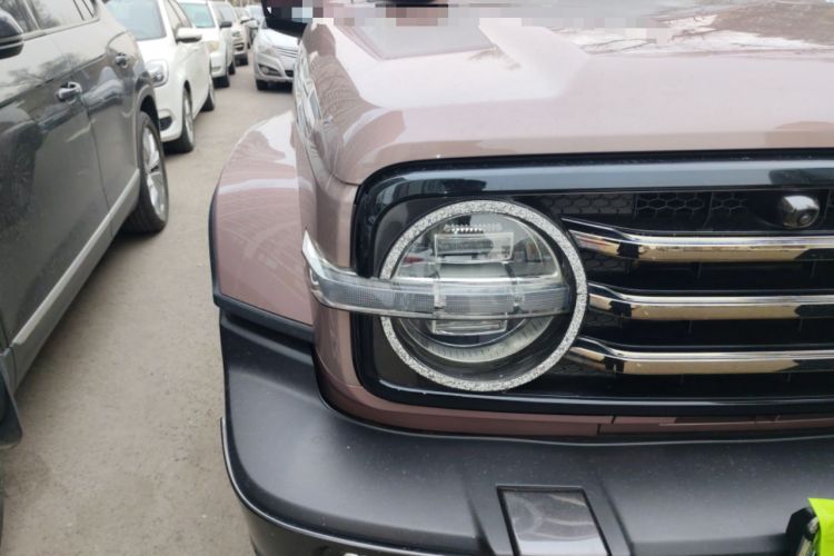 Used Tank 300 2021 City Edition 2.0T My Vision Model
