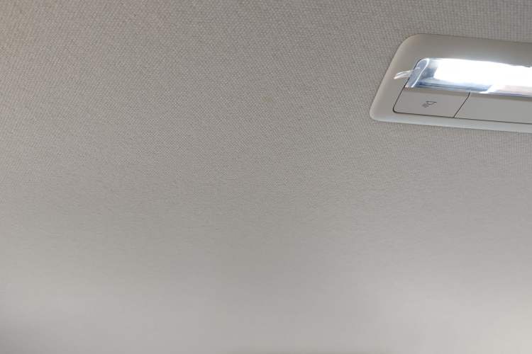 Used Mazda 3 Axela 2022 2.0L Automatic Zhiqing Edition Headliner