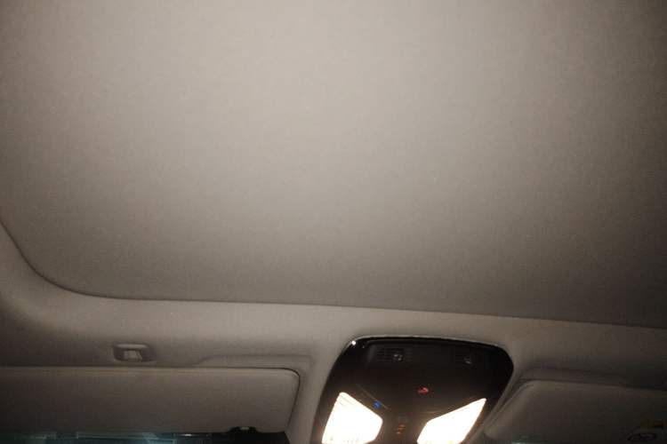 Used BMW 5 Series New Energy 2019 530Le Luxury Package
