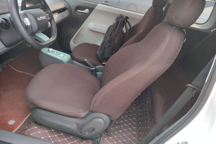 Used Qiyuan Lumin 2023 205km Xiangqin Version
