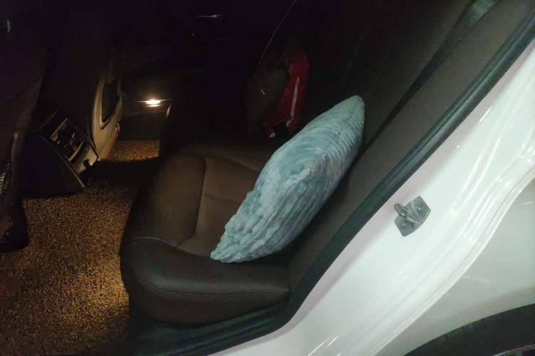 Used BMW 3 Series 2018 320Li Fashion Model Left Rear Seat