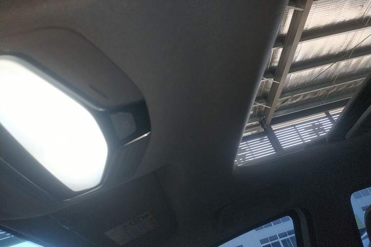 Used Geometry E Firefly 2024 401 km Fluorescent Headliner