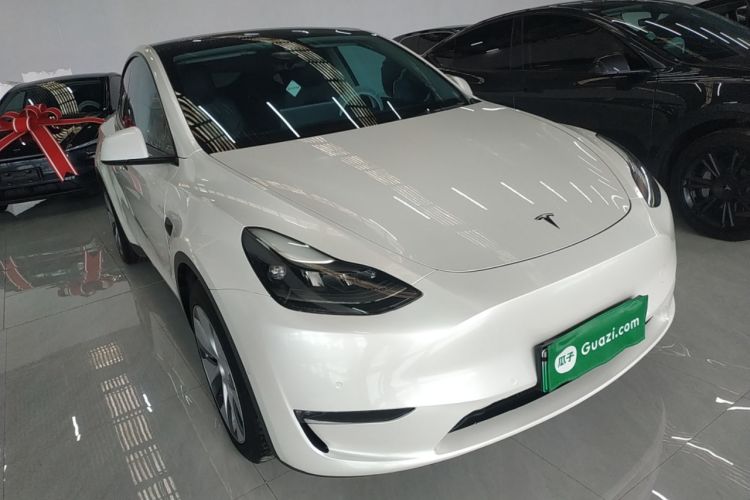 Used Tesla Model Y 2021 Standard Range Rear-Wheel Drive Version
