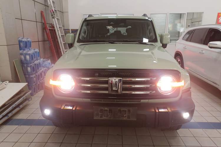 Used Tank 300 2024 2.0T Crosser
