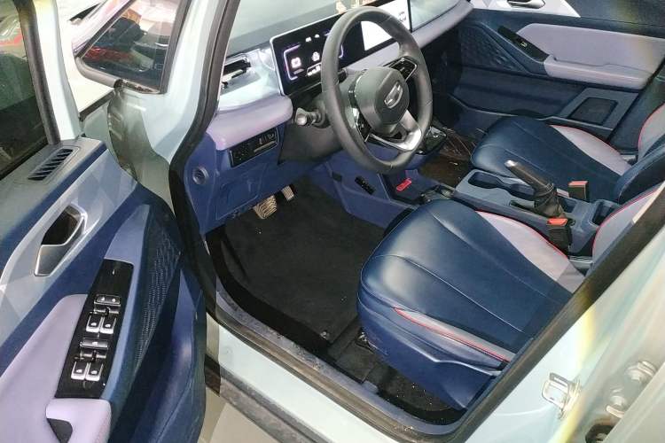 Used Geometry E Firefly 2022 320KM Cute Tiger 4-Seater
