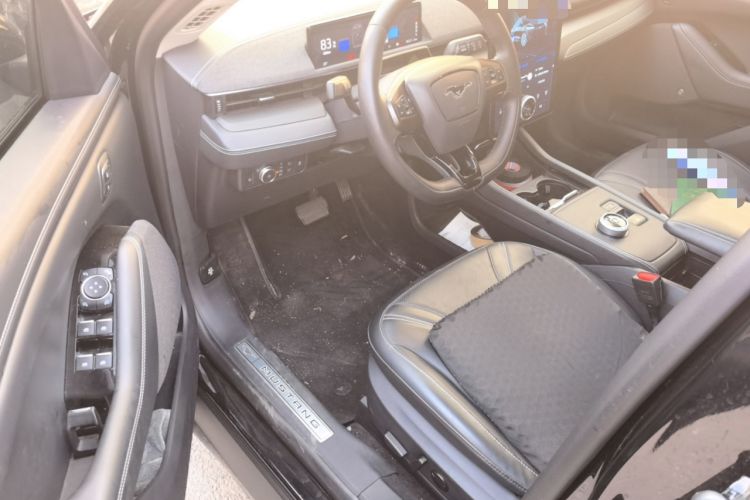 Used Ford Mustang Mach-E 2021 AION Y Plus Rear-Drive Luxury Edition (Long Range)
