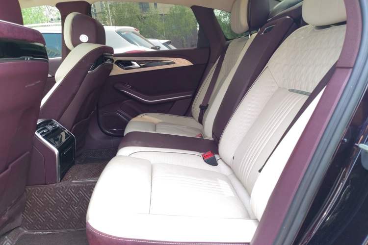 Used Hongqi H9 2020 2.0T Smart Connect Flagship Edition