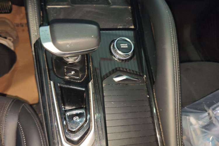 Used Geely Auto Monjaro L 2024 2.0TD High-Power Automatic Two-Wheel Drive Skyline Edition Gear Lever