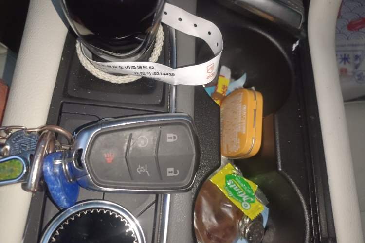 Used Cadillac XT5 2024 2.0T All-Wheel-Drive Luxury Version (Hummingbird Edition)