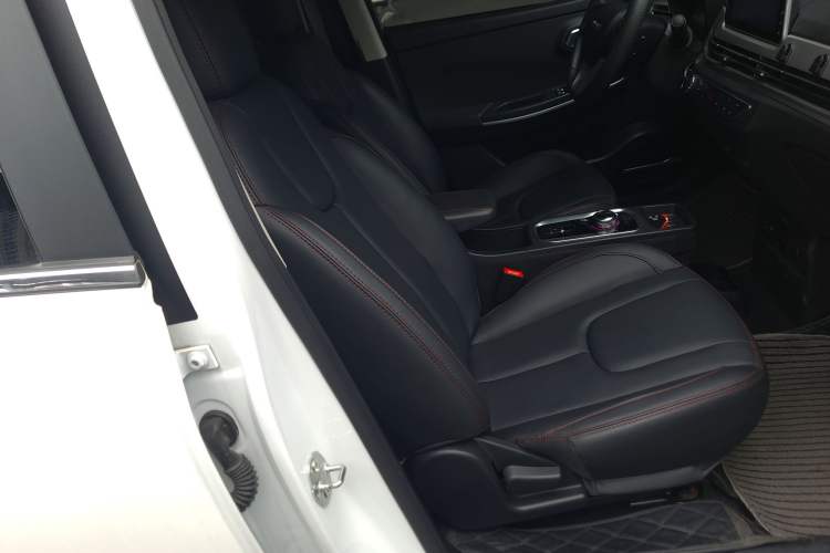 Used Dayun Yuehu 2022 30.66 kWh Two-Wheel Drive VIP Edition
