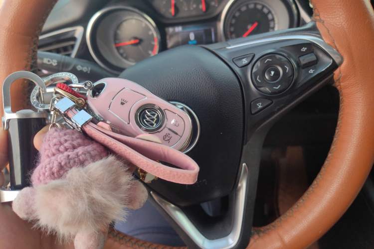 Used Buick Regal 2019 20T Elite Version China VI Standard
