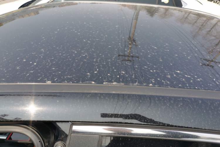 Used Kia K3 2019 1.5L CVT New Sharp Edition