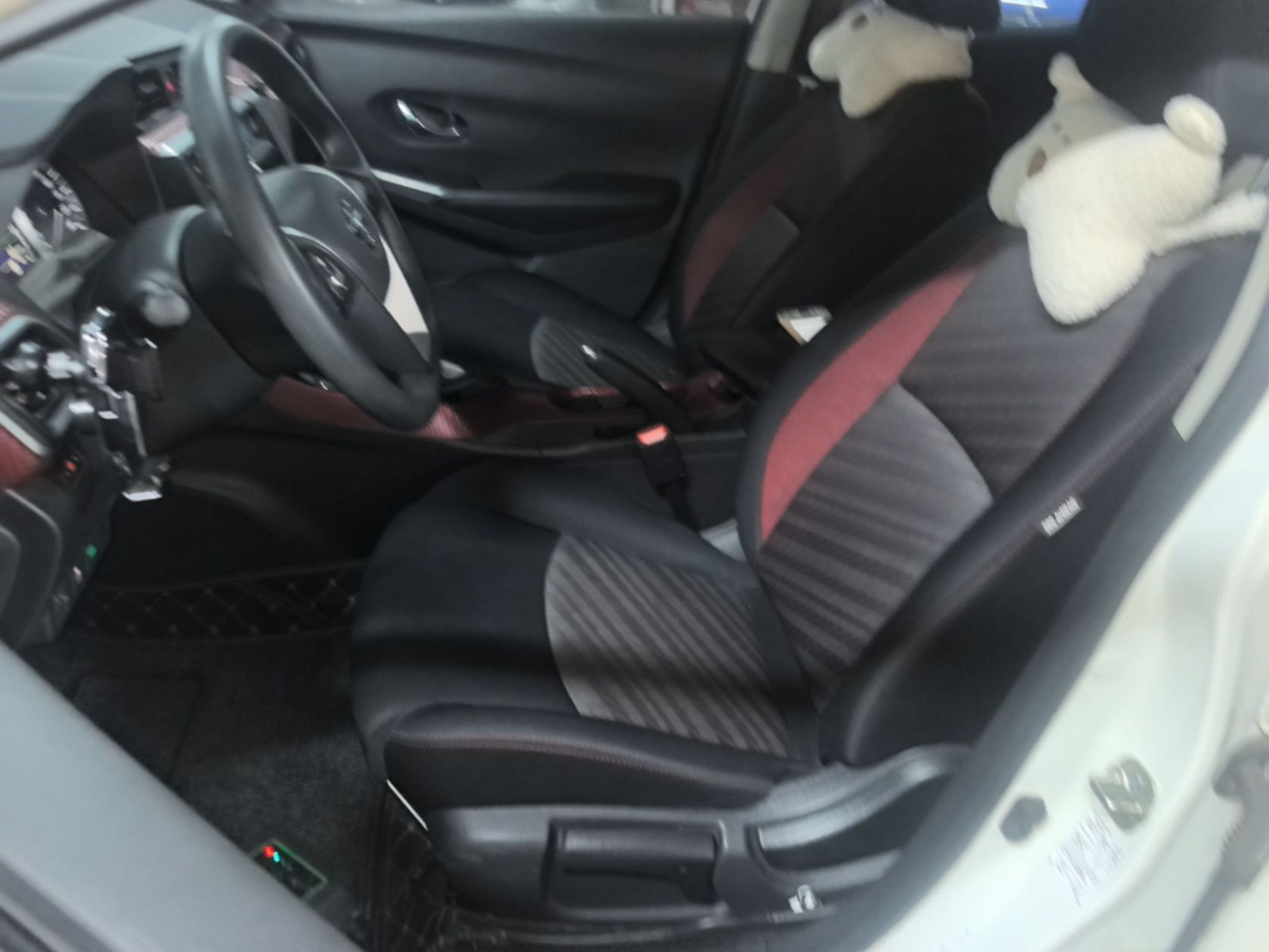 Interior delantero