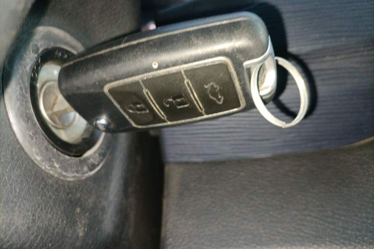 Used FORTHING Lingzhi 2021 M5L 2.0L Utility Model