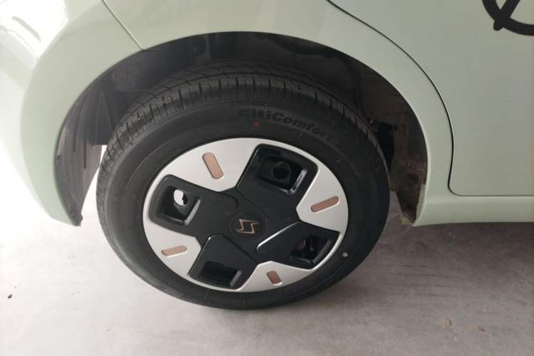 Used SOL E10X 2022 Flower Fairy Design Four-Leaf Clover
