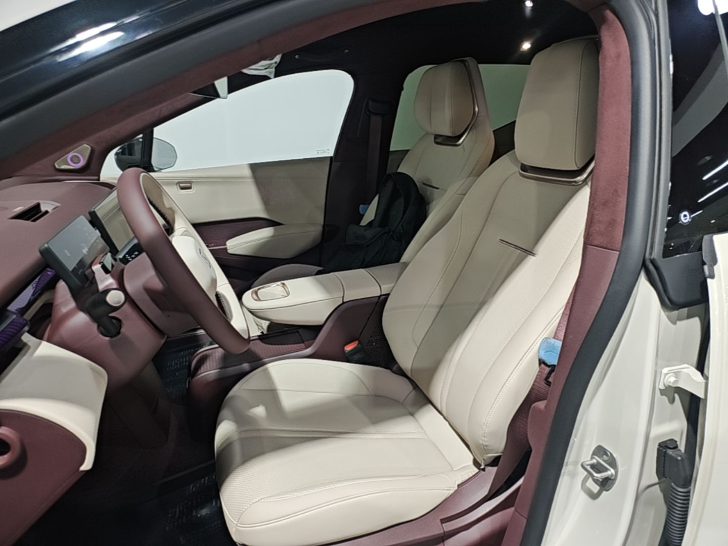 Zeekr X 2023 Rear-Drive YOU Edition 4 Seats — снимка 17