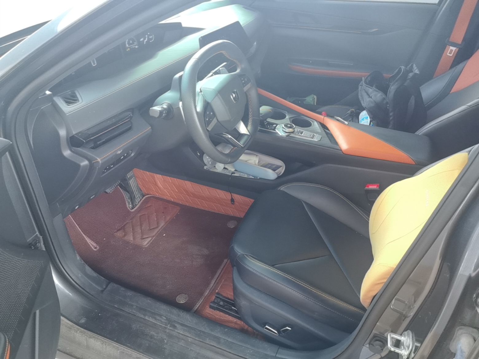 Interior delantero