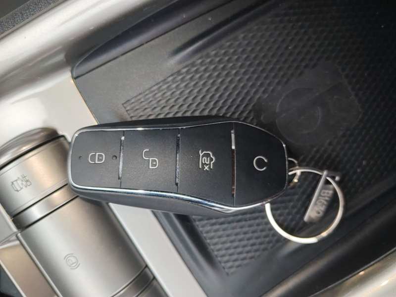 Used BYD Dolphin 2021 405 km Fashion Edition — 8