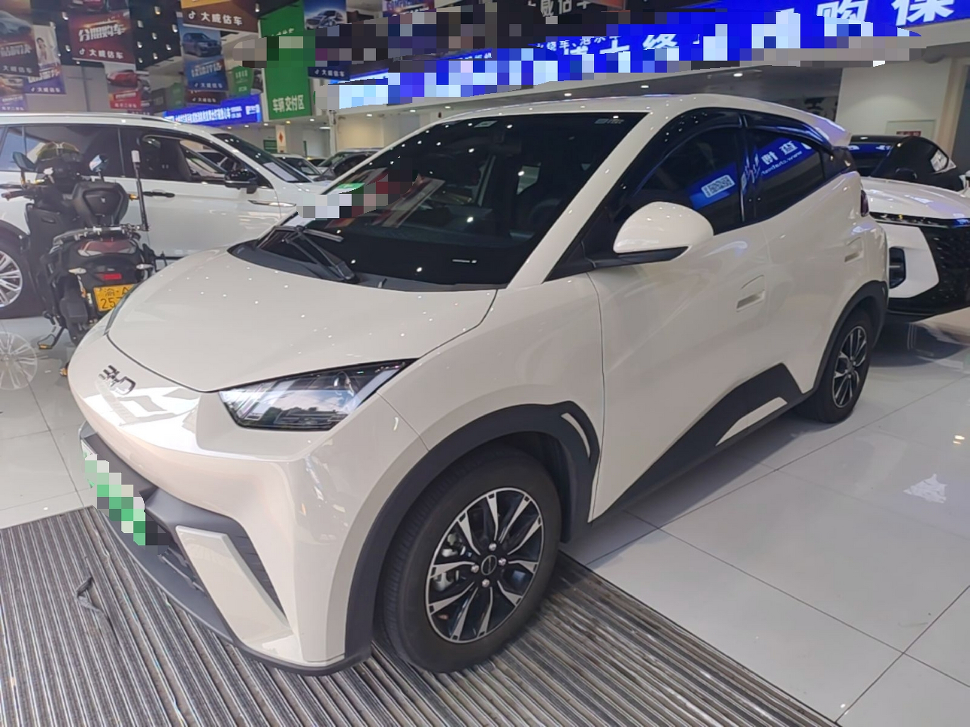 Pod przodem